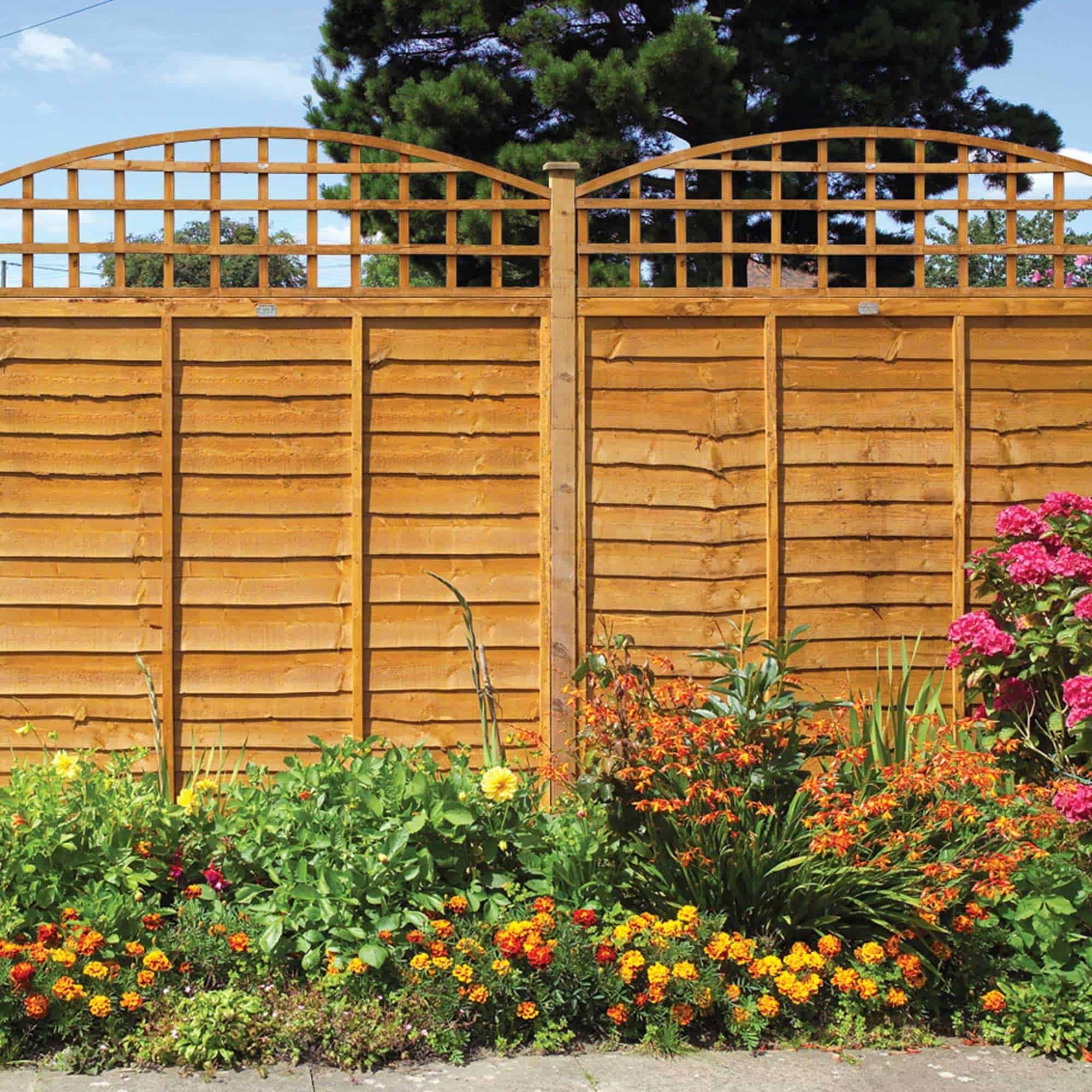 Dome Trellis 0.3m - Image 2
