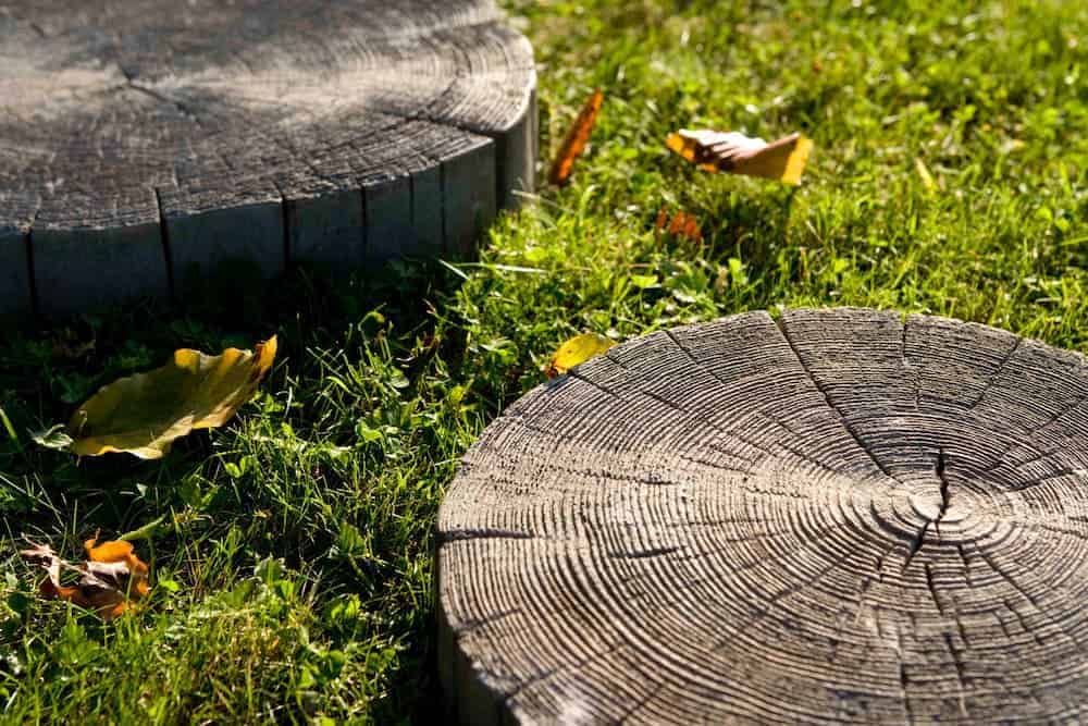 Driftwood Log Step 360mm - Image 3