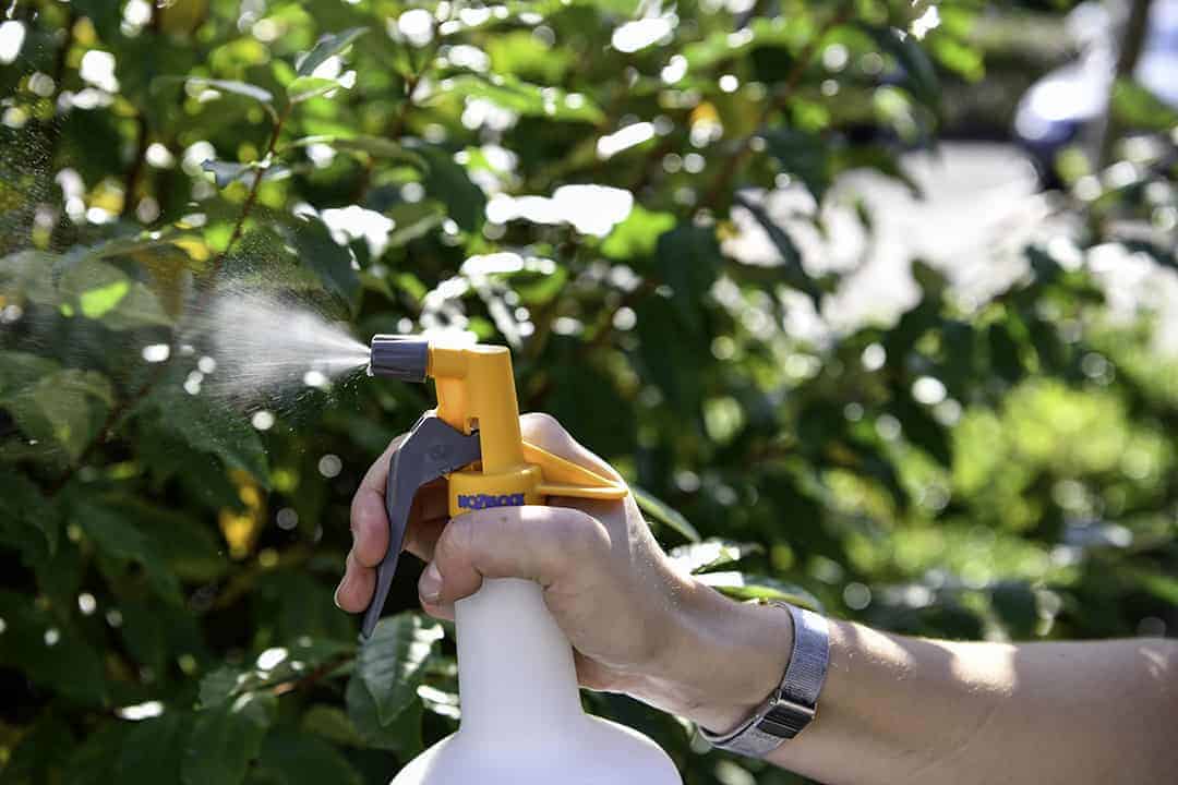 Hozelock Standard Sprayer - Image 2