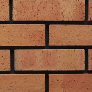 Kingscourt Autumn Dragface Brick 65mm