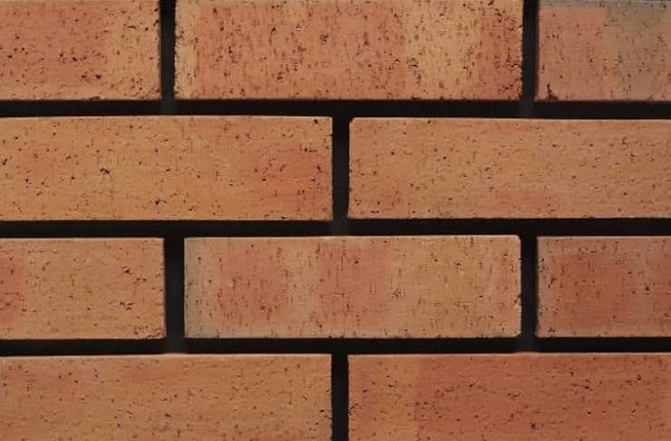 Kingscourt Autumn Dragface Brick 65mm