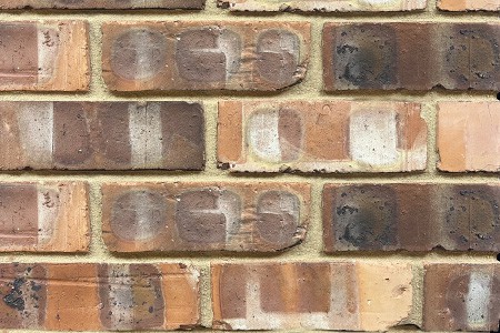 Imperial Bricks Scotch Common Brick 228 X 73mm
